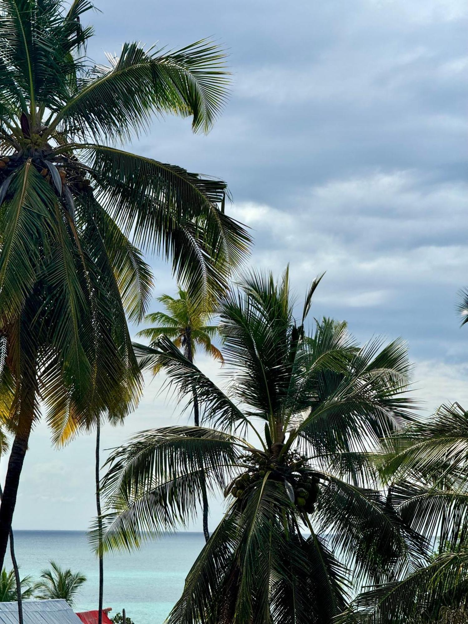 Rafiki Hotel Nungwi Beach 外观 照片